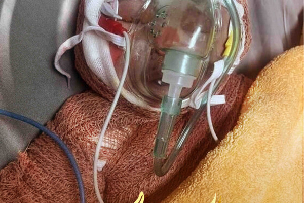 «به کدامین گناه»