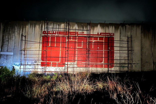 Муралы в поддержку Палестины